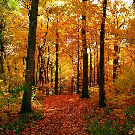 Aaah La Campagne. . .